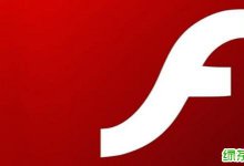 Flash 30最新插件 全自动安装版 处理地区限制问题