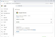 Chrome浏览器优化版  110.0.5481.178官方正式版-绿色优化版